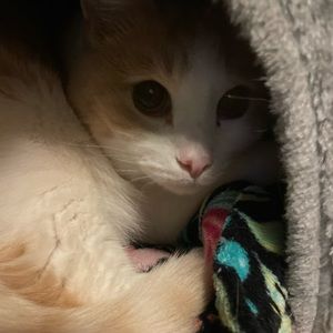 Meet your Posher, John